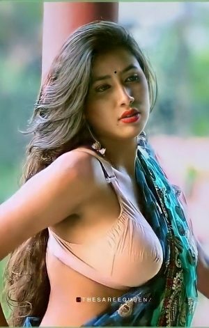Sexy Indian saree